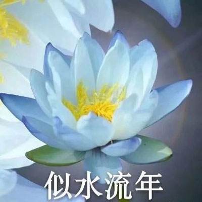 元气封神百度版下载