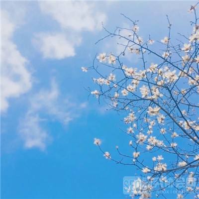 黎明游侠无限金币钻石版下载