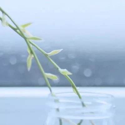 梦天下手游下载